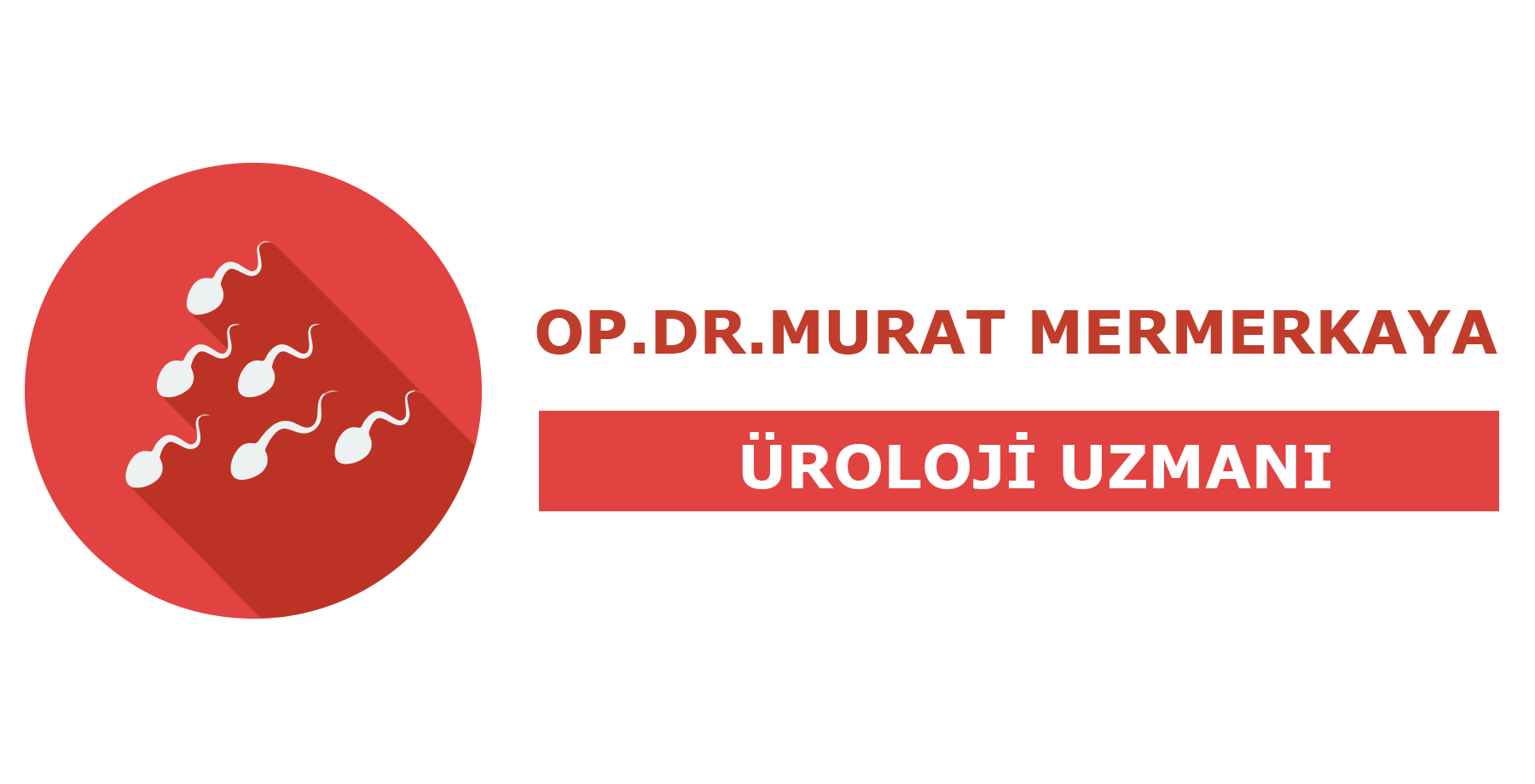 Aralık 2019 Logo 2